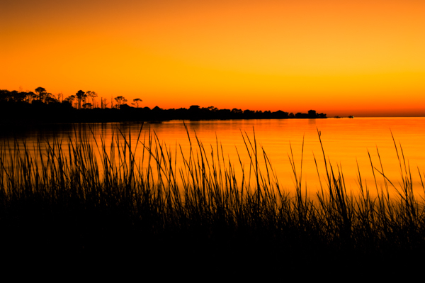 Beautiful & Mysterious Florida