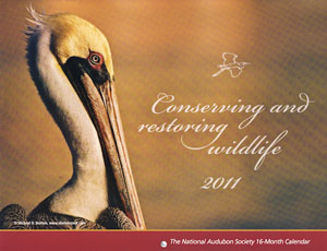 My Photo was Picked for the 2011 National Audubon Society Calendar!!!!!!!